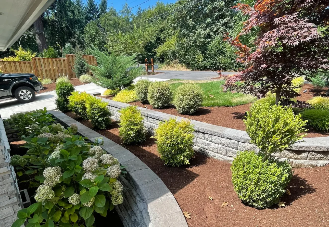 Professional front yard landscaping with retaining wall installation and healthy ornamental shrubs